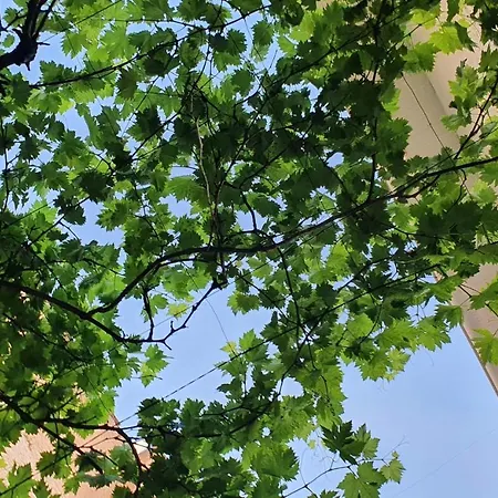 Casa Bambu Apartamento Granada