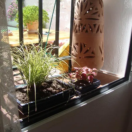 Casa Bambu Apartment *