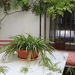 Casa Bambu Granada