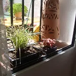 Casa Bambu Apartmán *