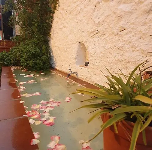 Casa Bambu *