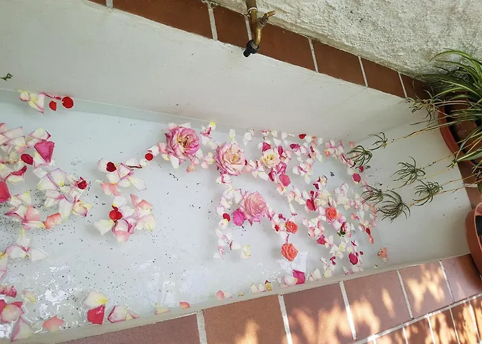 Casa Bambu