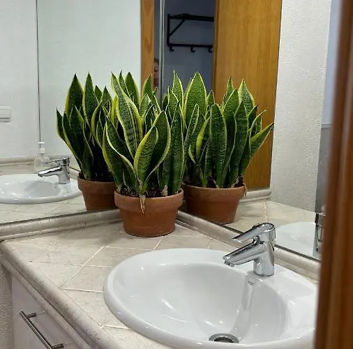 Casa Bambu *