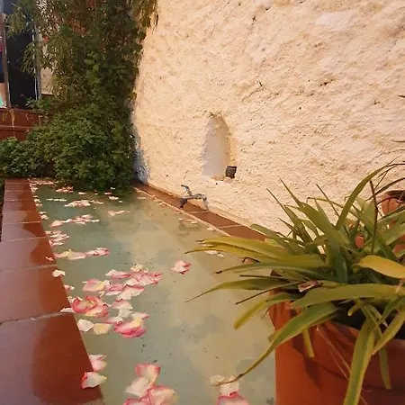 Casa Bambu *